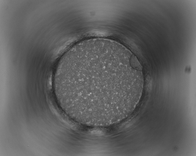 X0000111590358200908061355