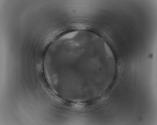 X0000111590359200908061355