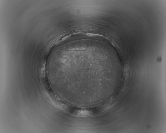 X0000111590360200908061355