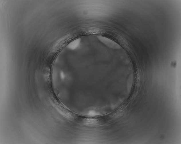 X0000111590361200908061355