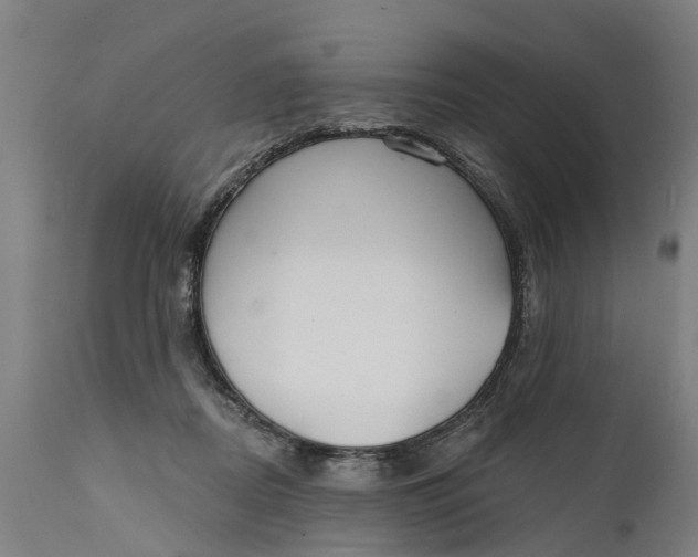 X0000111590362200908061355