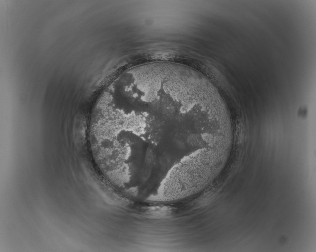 X0000111590363200908061355