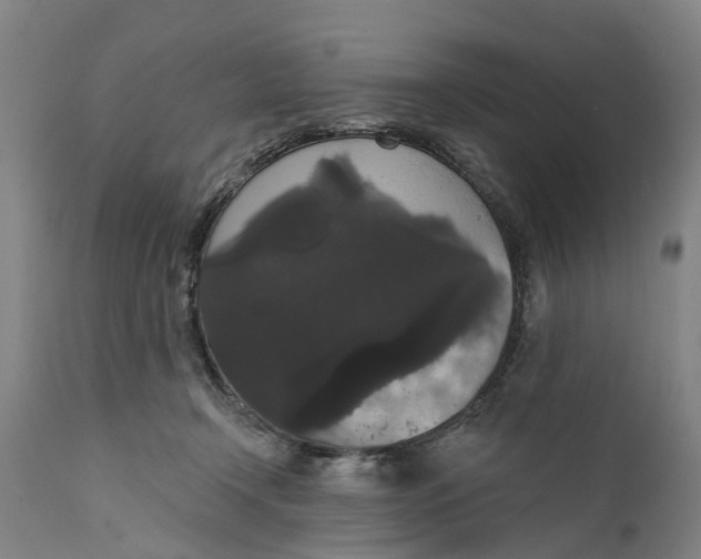 X0000111590366200908061355