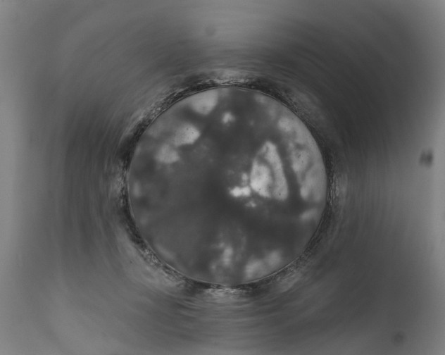 X0000111590367200908061355