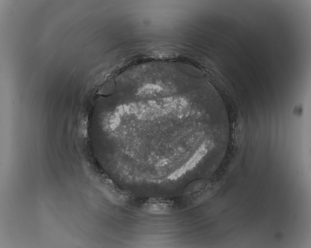 X0000111590368200908061355