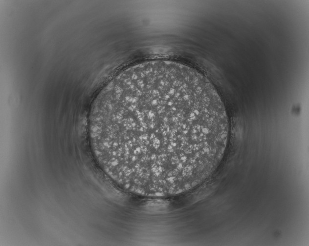 X0000111590369200908061355