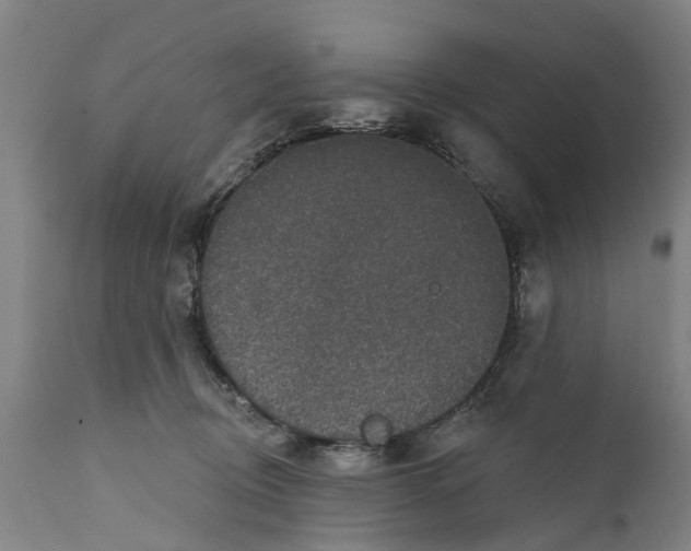 X0000111590370200908061355