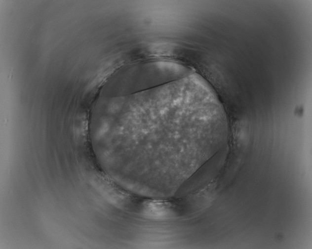 X0000111590372200908061355