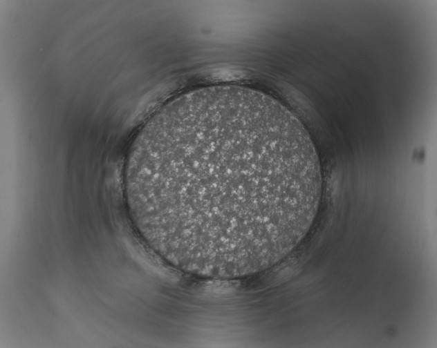 X0000111590373200908061355