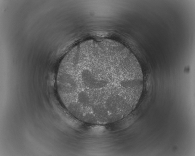 X0000111590374200908061355