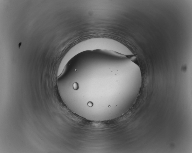 X0000111590376200908061355