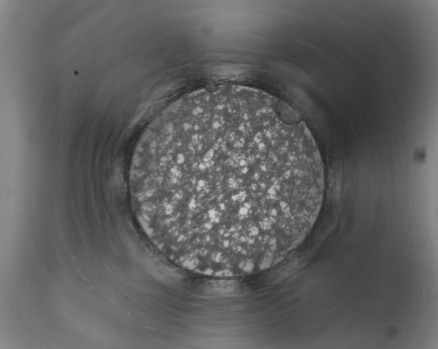 X0000111590377200908061355