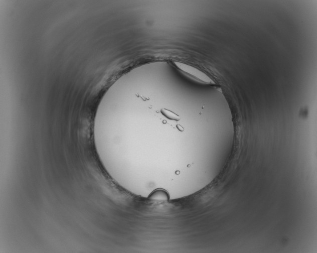 X0000111590379200908061355