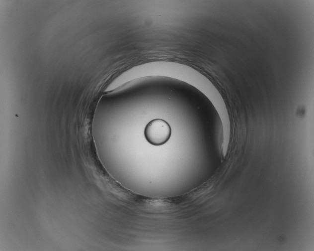 X0000111590380200908061355