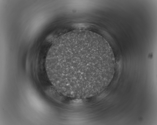 X0000111590381200908061355