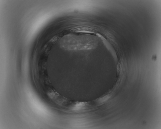 X0000111590382200908061355