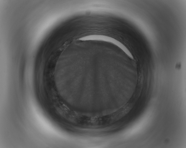 X0000111590383200908061355