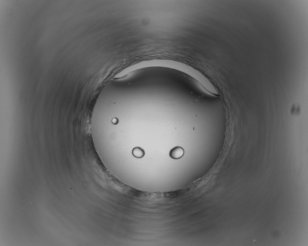 X0000111590384200908061355