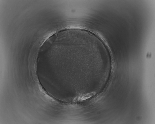 X0000111590385200908061355