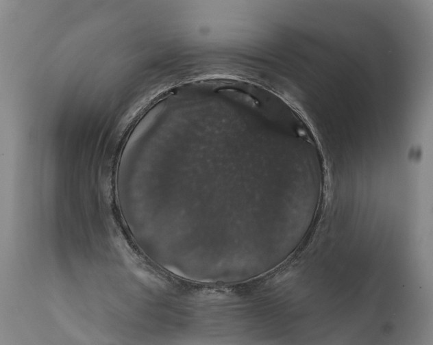 X0000111590386200908061355