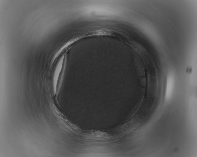 X0000111590387200908061355