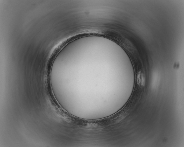 X0000111590388200908061355