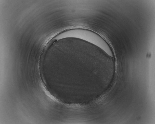 X0000111590389200908061355