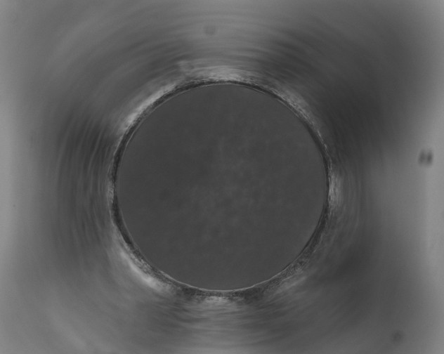 X0000111590390200908061355