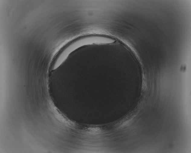 X0000111590391200908061355