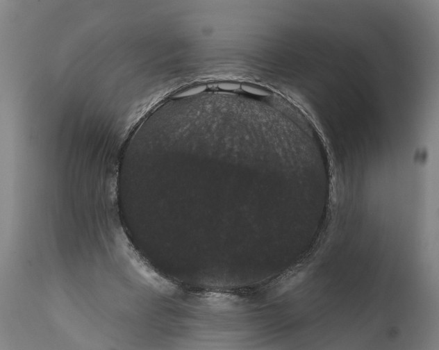 X0000111590393200908061354