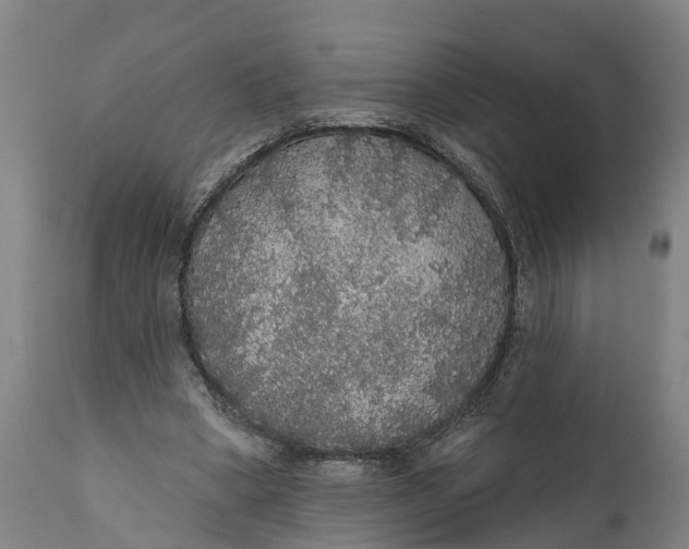 X0000111590394200908061354