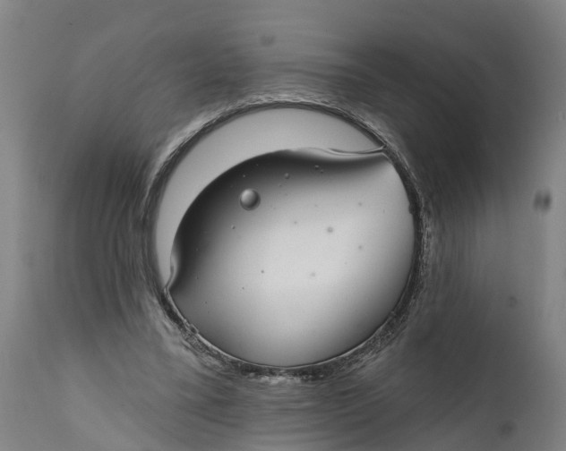 X0000111590395200908061354