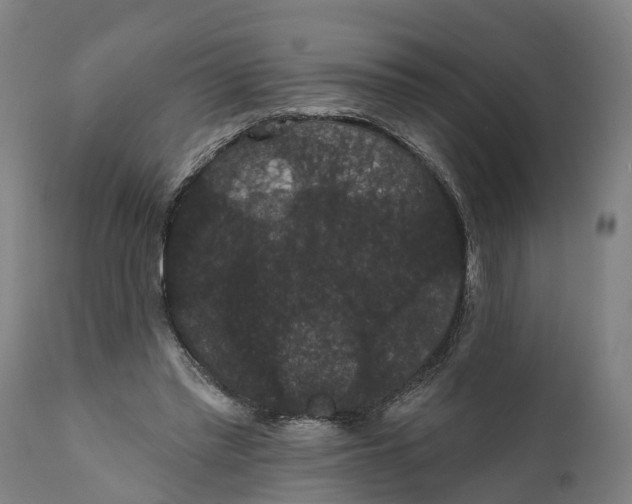 X0000111590397200908061354