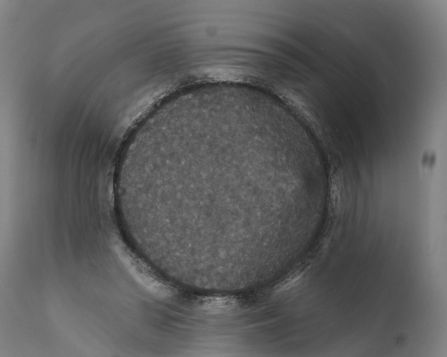 X0000111590398200908061354