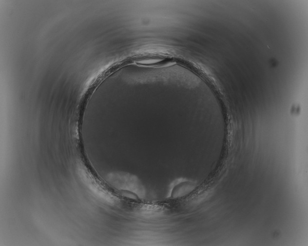 X0000111590399200908061354