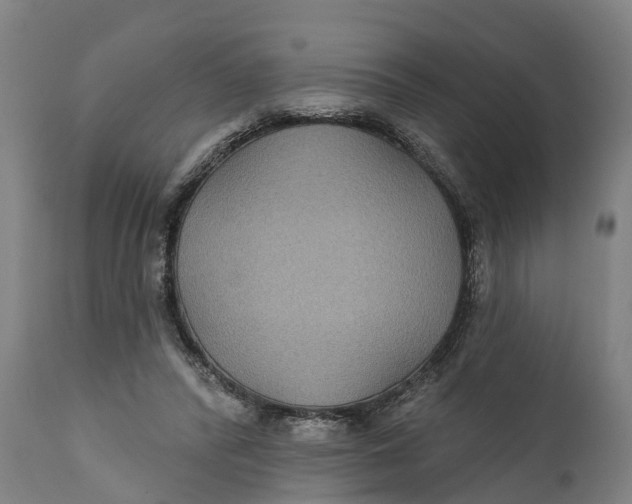 X0000111590400200908061354