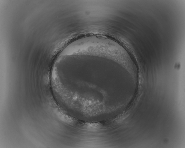 X0000111590401200908061354