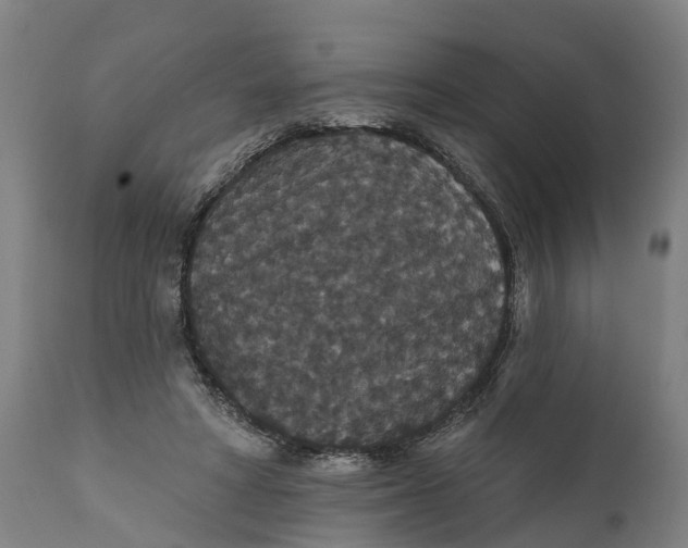 X0000111590402200908061354