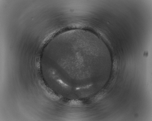 X0000111590403200908061354