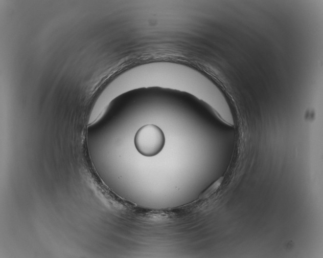 X0000111590405200908061354