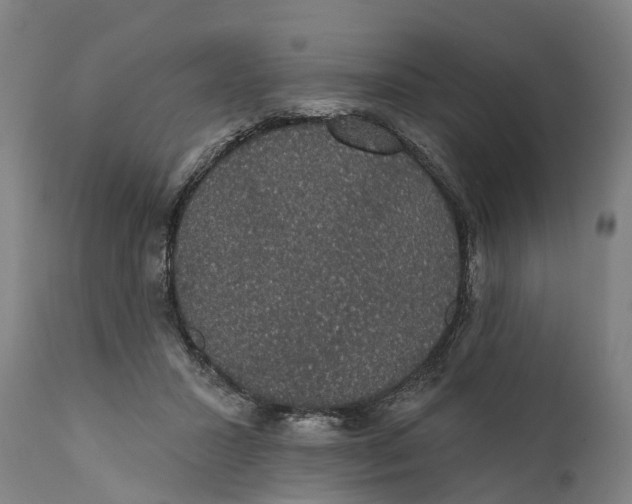 X0000111590407200908061354