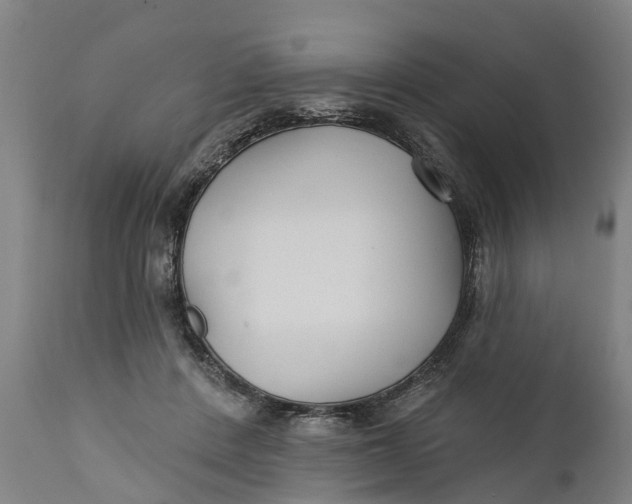 X0000111590408200908061354