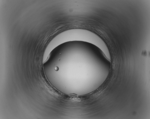 X0000111590409200908061354