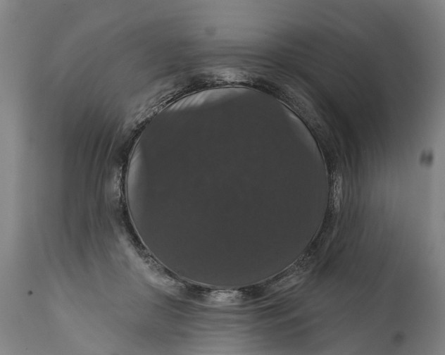 X0000111590410200908061354