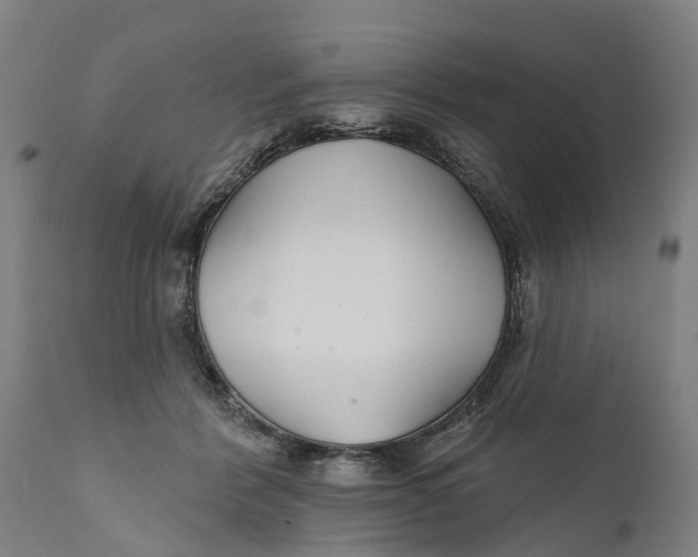 X0000111590412200908061354