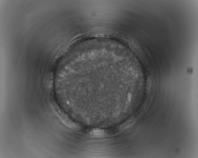 X0000111590413200908061354