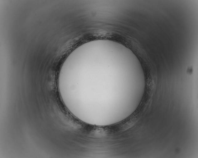 X0000111590416200908061354