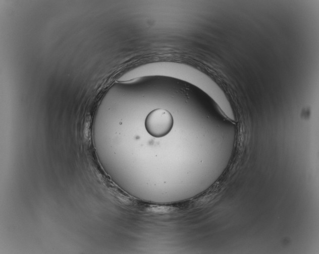 X0000111590417200908061354