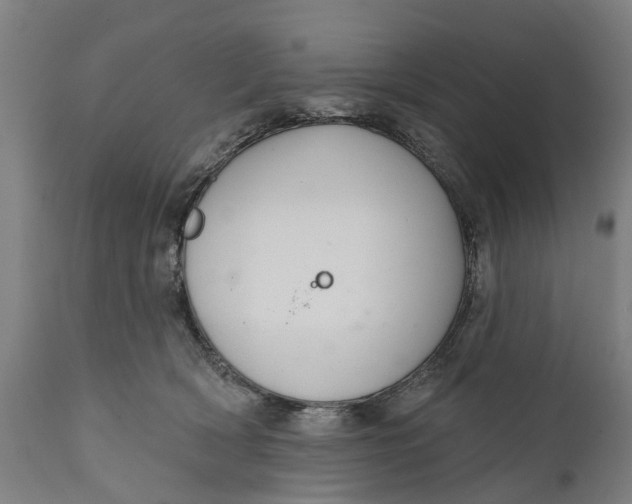 X0000111590418200908061354