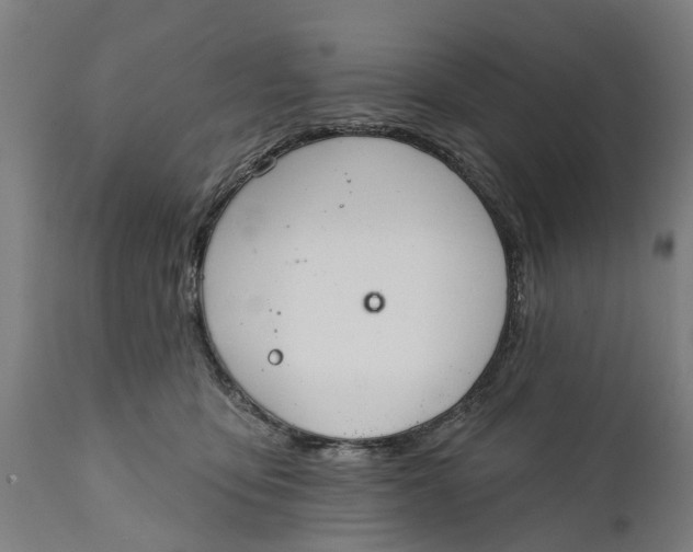 X0000111590419200908061354